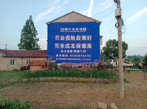 嘉兴墙体广告的优劣势你知道吗?