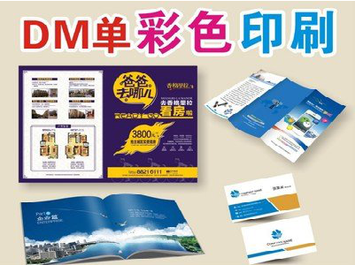 嘉兴单页印刷，色彩搭配简单。